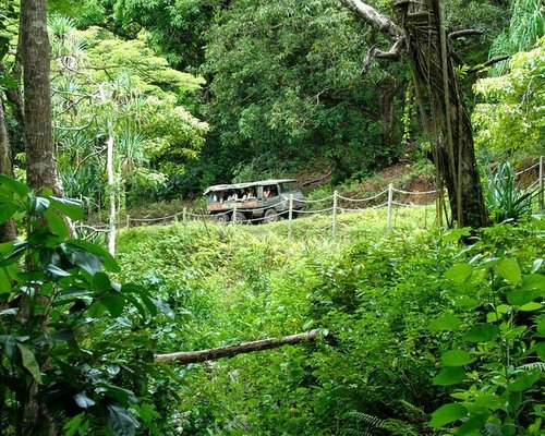 The old Paradise Park on O'ahu, where they filmed the bear cages scenes.  It's under construction right now. It's the start of the Manoa Falls trail,  which is closed right now. I