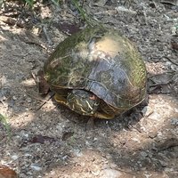 George Mitchell Nature Preserve (The Woodlands) - All You Need to Know ...