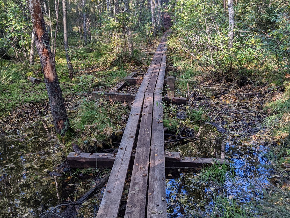 backpacker helsinki tour