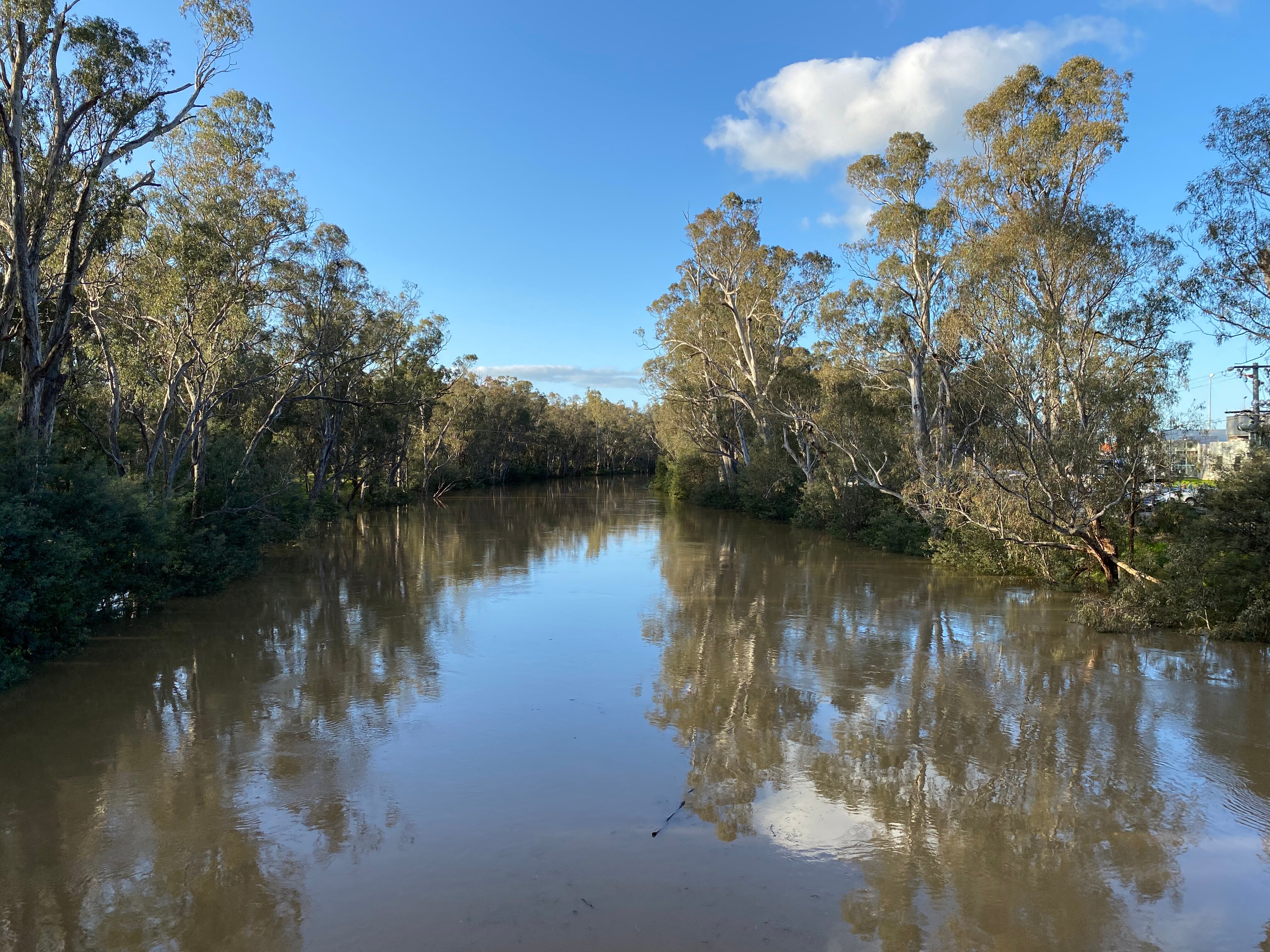 Goulburn Suspension Bridge (Shepparton, Australien) - Omdömen - Tripadvisor