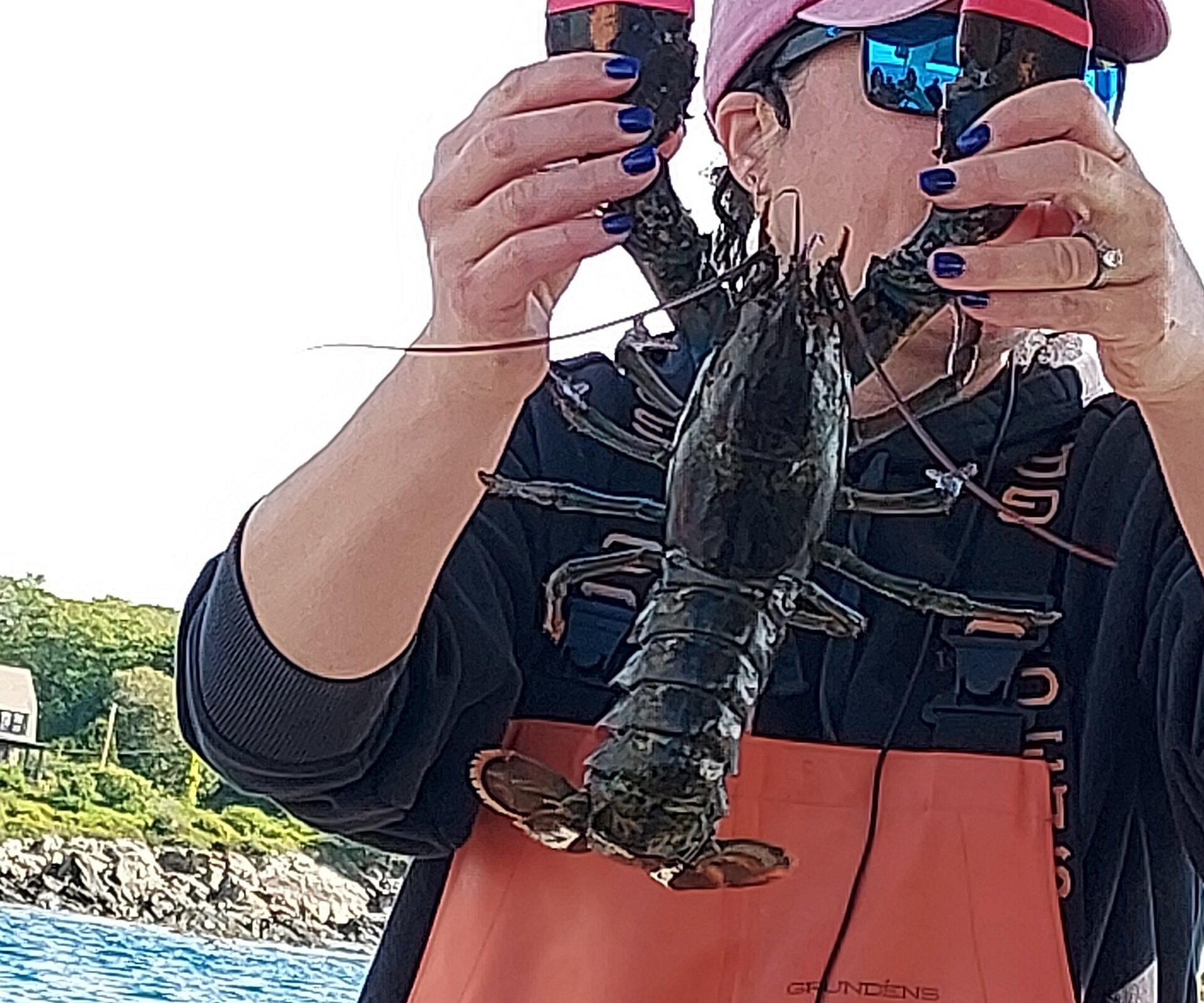 rugosa lobster tours photos