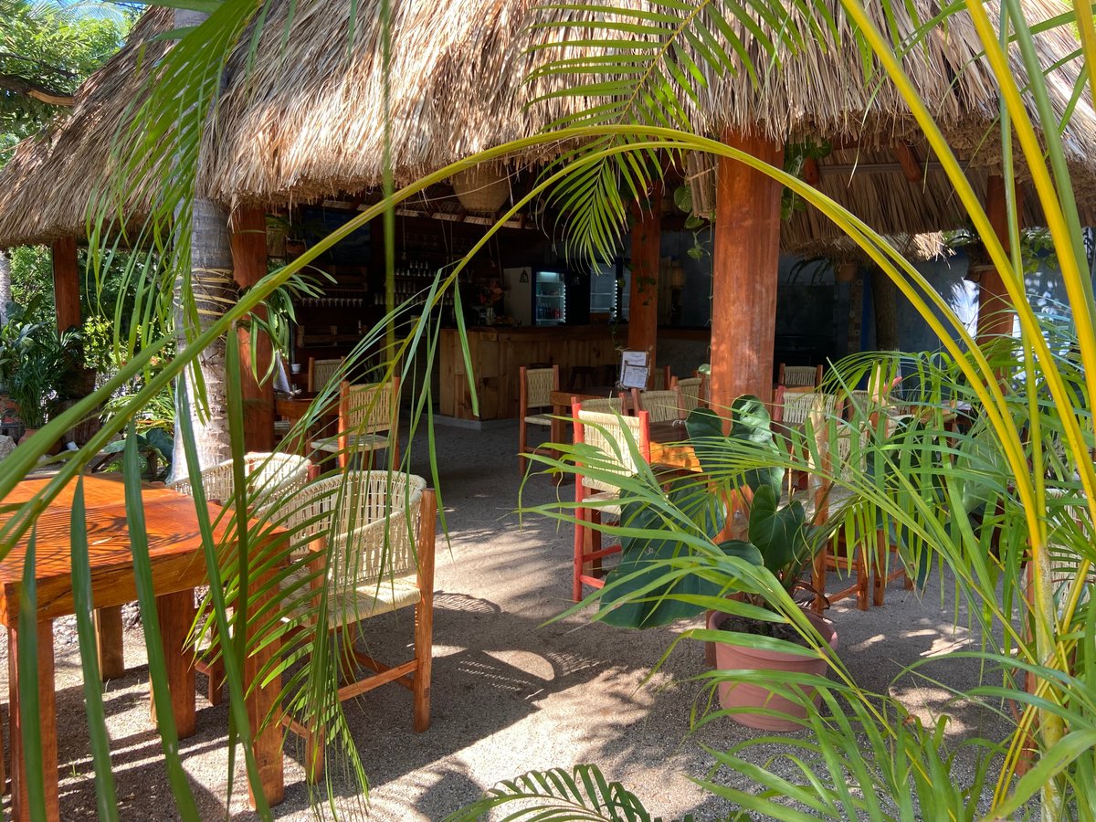 THE 10 BEST Restaurants in Puerto Escondido (Updated 2024)