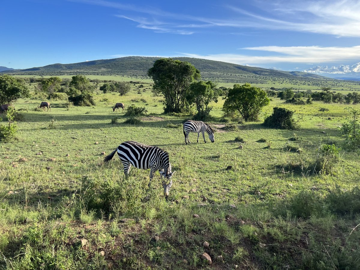 APODIFORMES ADVENTURES (Nairobi) - All You Need to Know BEFORE You Go