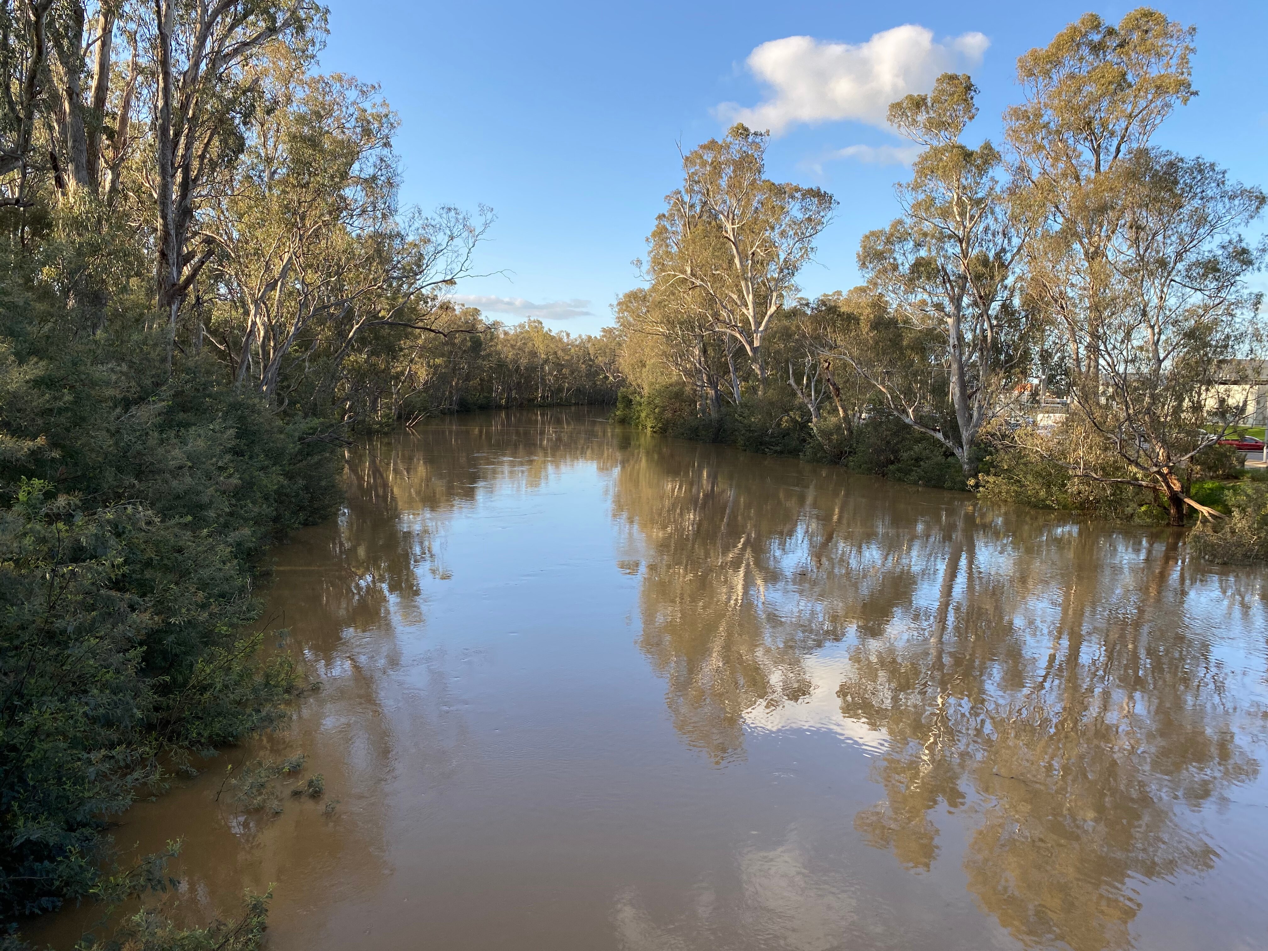 Goulburn Suspension Bridge (Shepparton) - All You Need To Know BEFORE ...