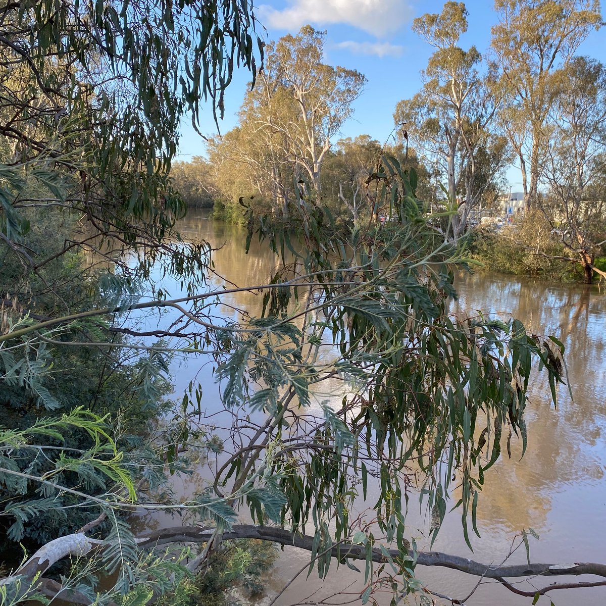 GOULBURN SUSPENSION BRIDGE (Shepparton) - All You Need to Know BEFORE ...