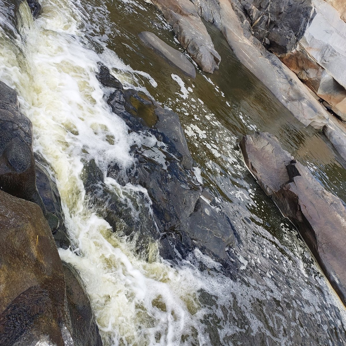 Pedra do Altar (Itatiaia National Park) - All You Need to Know BEFORE ...