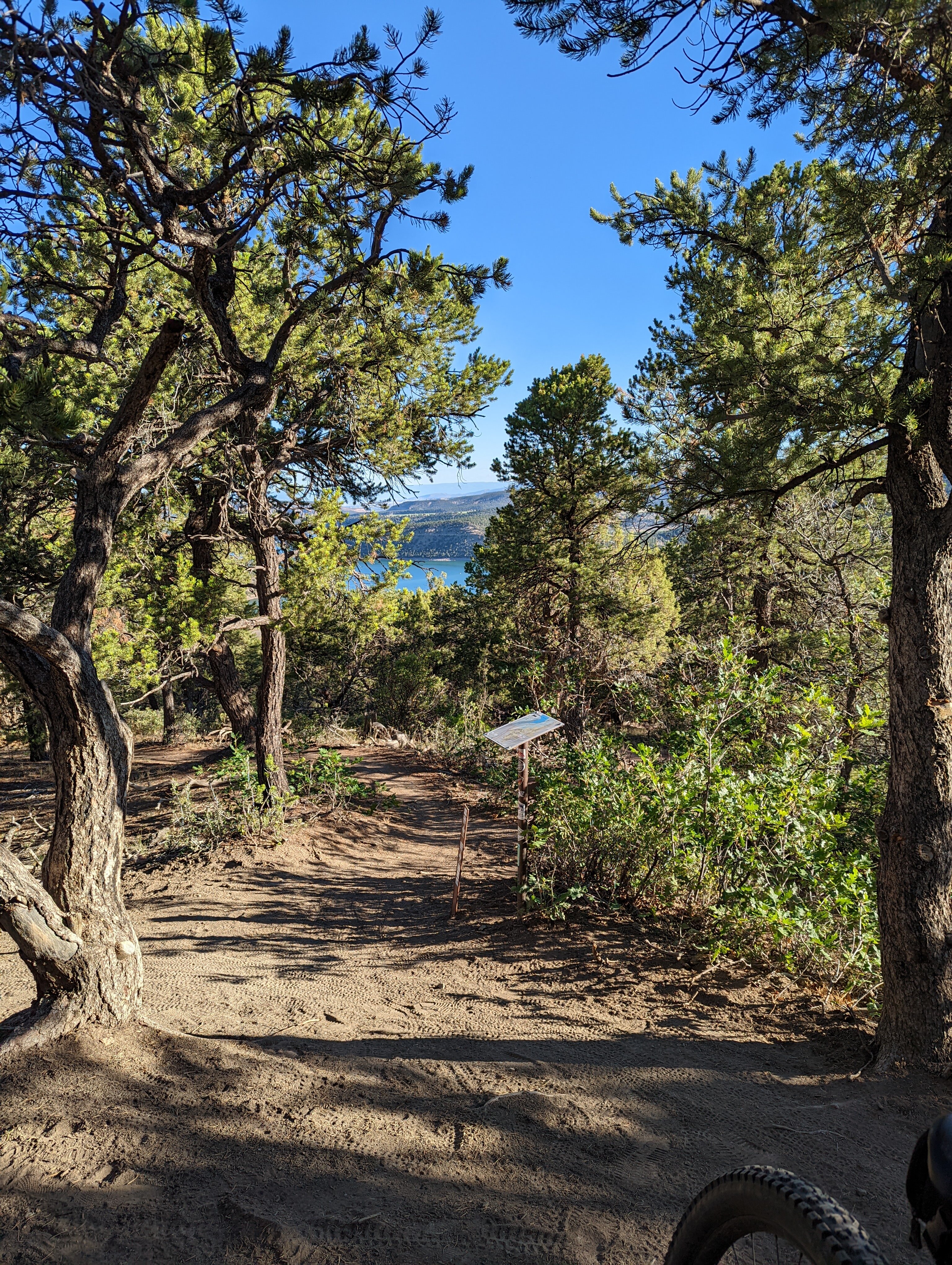 2022 Ridgway Area Trails   A Trail With The Map 