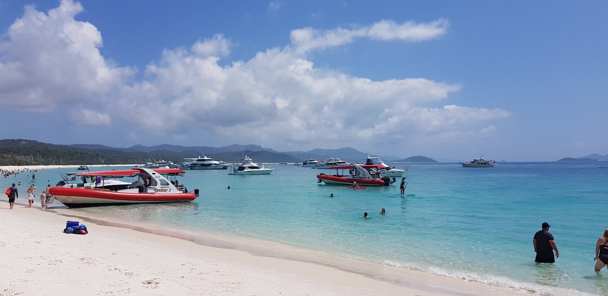 Hamilton Island Reef Ryder Tour - All You Need To Know Before You Go