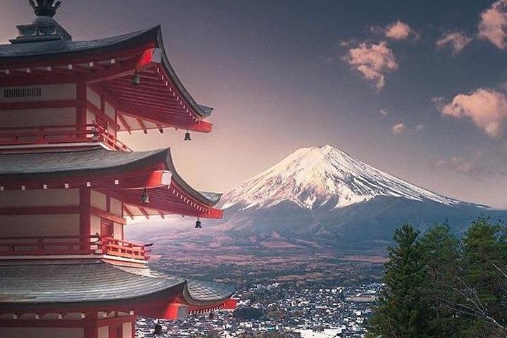 THE 10 BEST Tokyo Tours & Excursions for 2023 (with Prices)