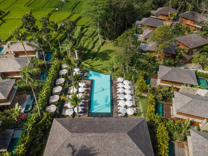 KAPPA SENSES UBUD - Updated 2024 Prices & Resort Reviews (Bali)