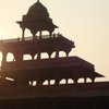TravelBug