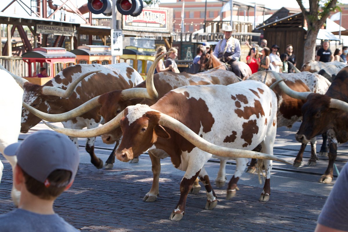 Fort Worth Stockyards Reviews