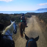 NANA'S HORSE RIDING (Kalamaki) - All You Need to Know BEFORE You Go