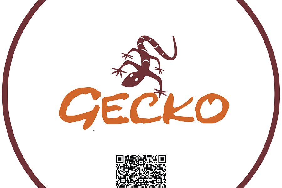 gecko tours tanzania