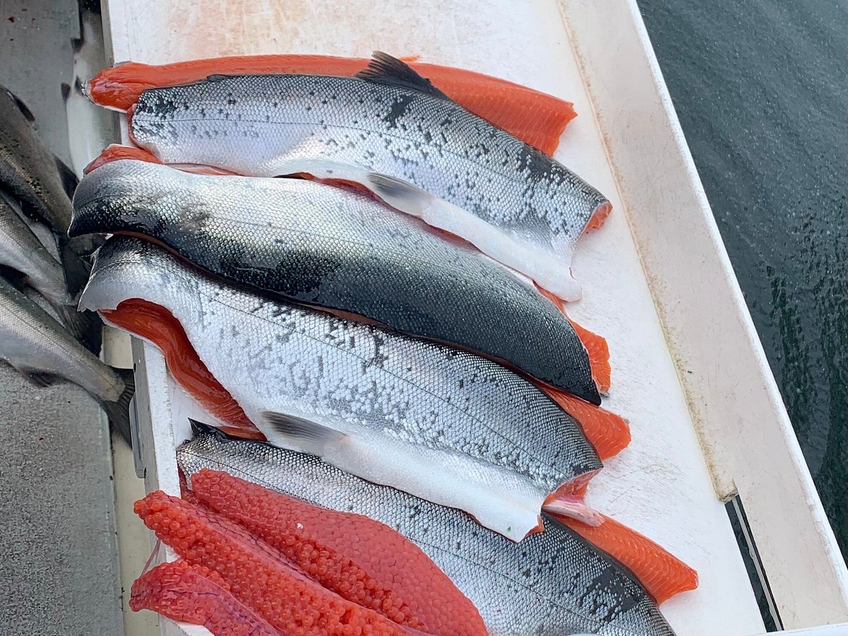 Fish Finders for sale in Sunset Beach, Washington