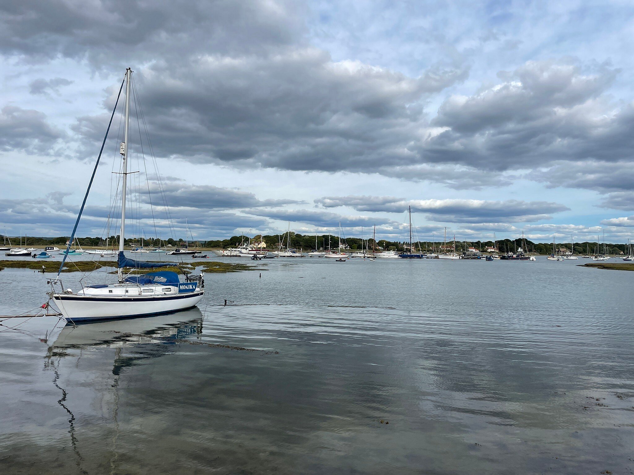 chichester harbour water tours reviews