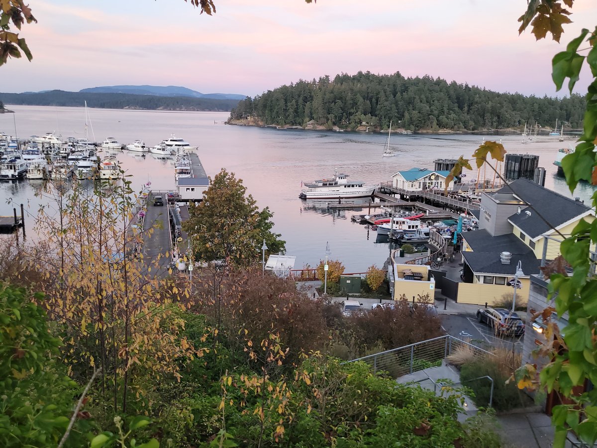 BIRD ROCK HOTEL - Updated 2024 Prices & Reviews (Friday Harbor, San ...