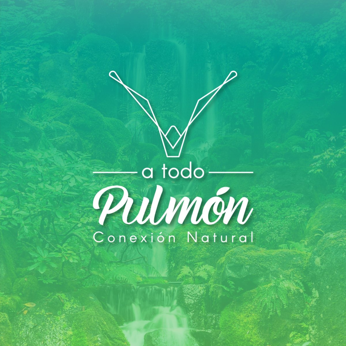 A todo pulm n 2025 all you need to know before you go with photos