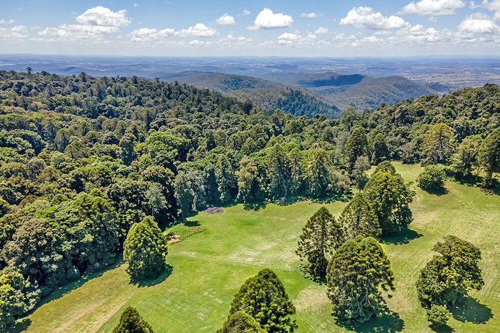 are dogs allowed at bunya mountains