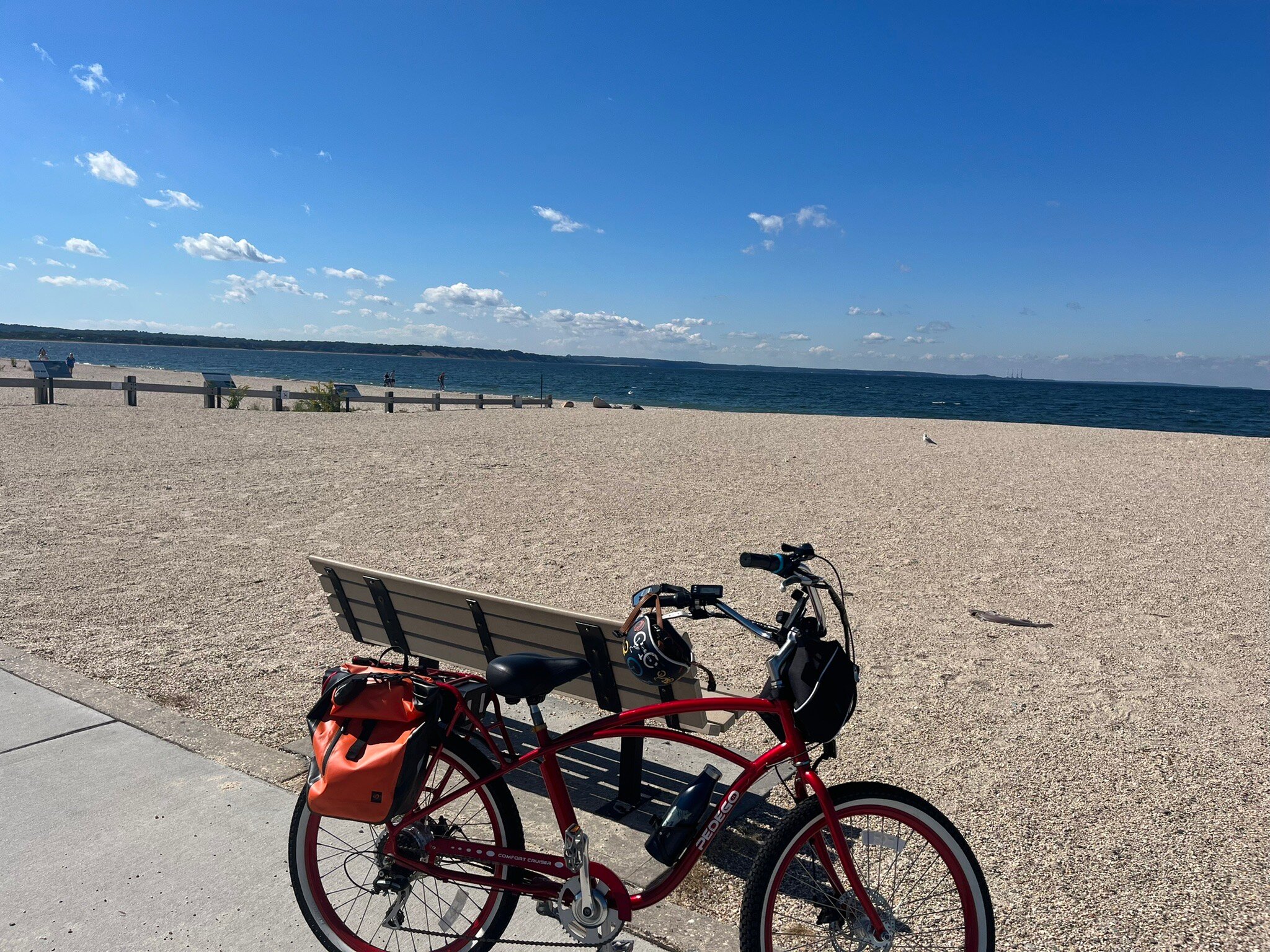 Pedego best sale stony brook