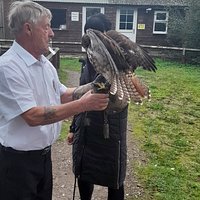 York Bird of Prey Centre (Huby) - All You Need to Know BEFORE You Go