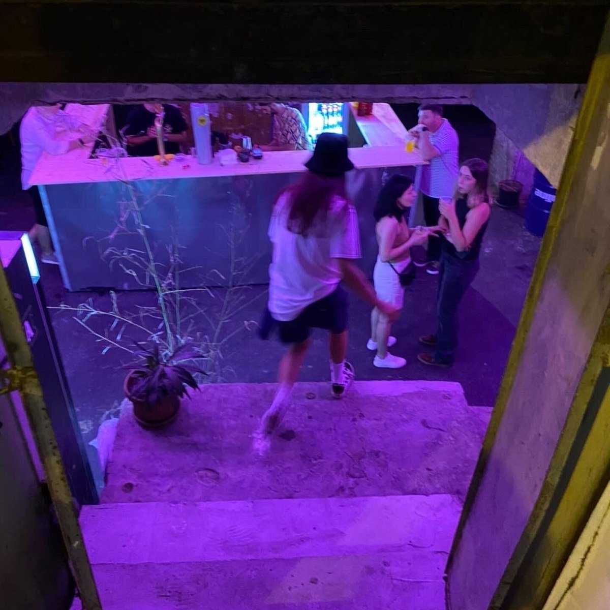 Бары батуми. Backdoor Bar Батуми. Мяу бар Батуми. Батуми Грин бар Батуми Green Bar. Душа Lounge Батуми.