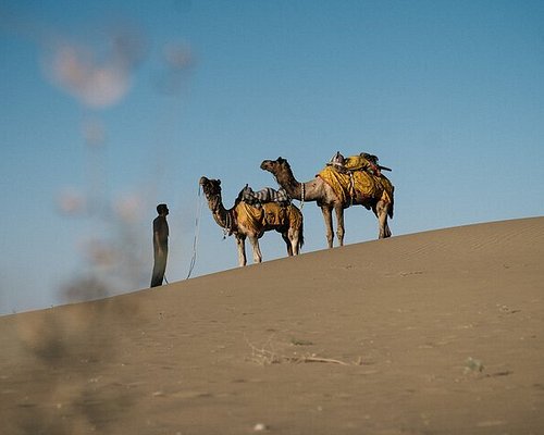 yatra desert safari jaisalmer