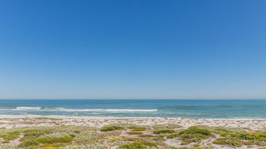View of Peal Bay Beach