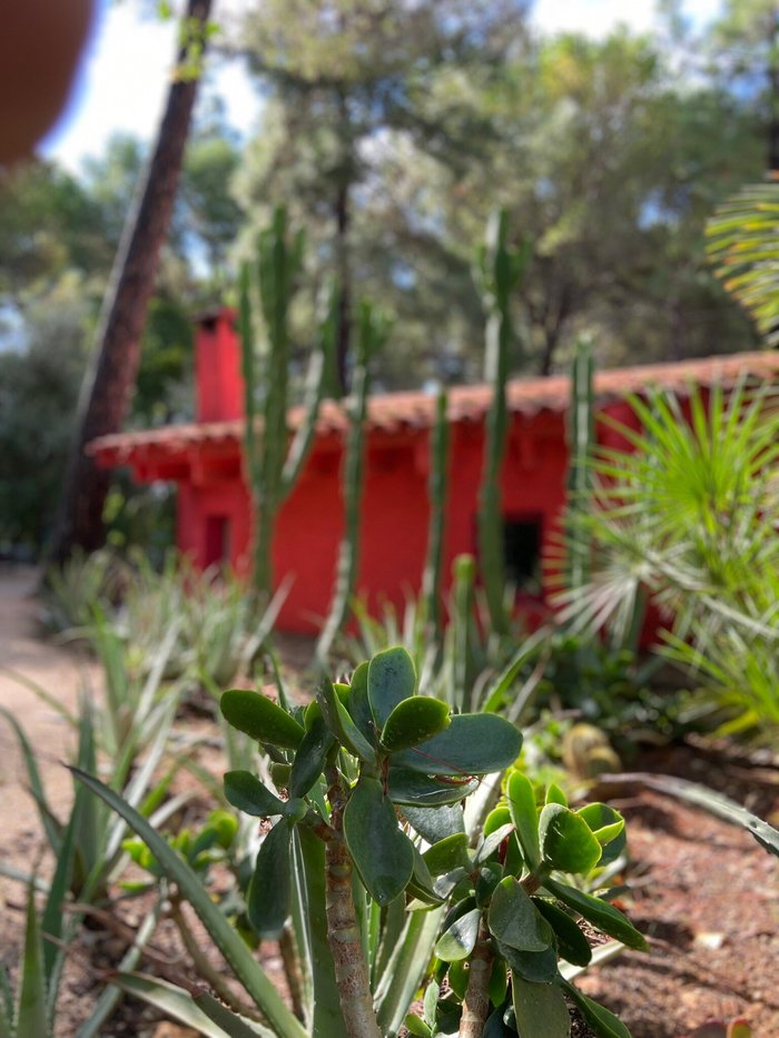 Imagen 21 de El Botánico de Sagra