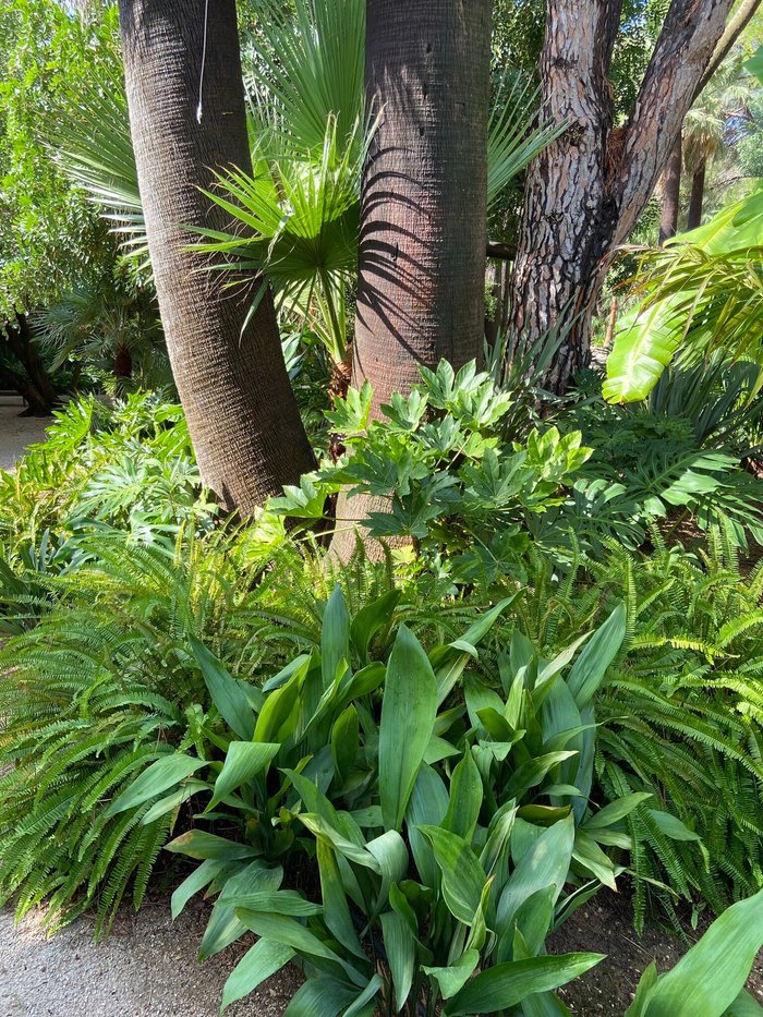 Imagen 17 de El Botánico de Sagra