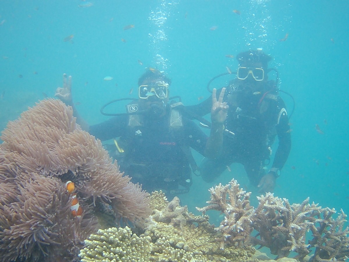 Island Divers Ilha De Havelock Atualizado 2023 O Que Saber Antes De Ir Sobre O Que As 8353