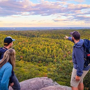 is gatineau park dog friendly