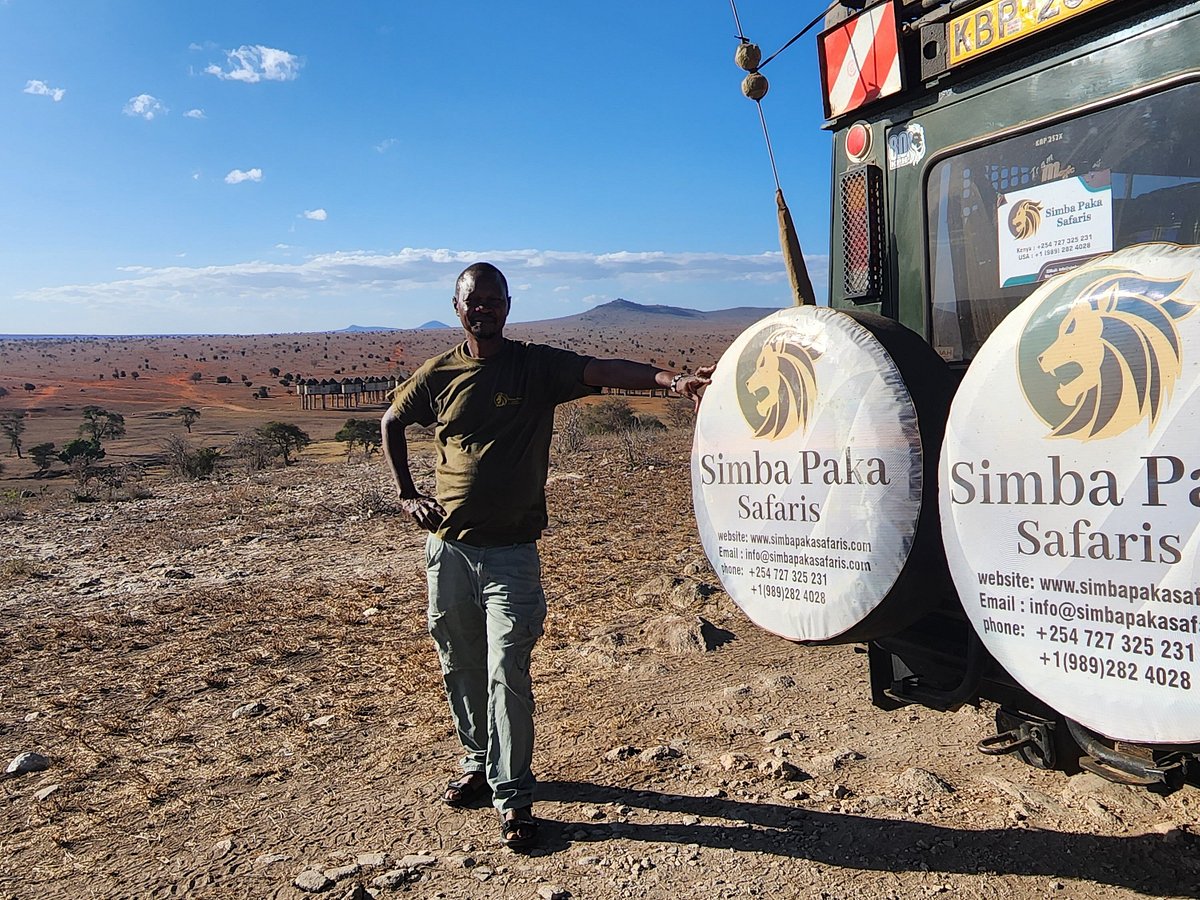 simba safaris contacts