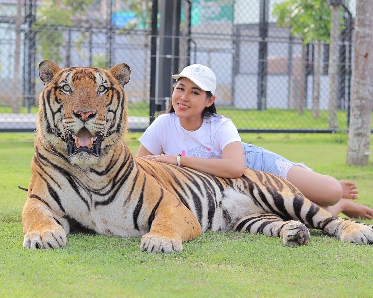 Tiger World Thailand, Дамноенсадуак: лучшие советы перед посещением -  Tripadvisor