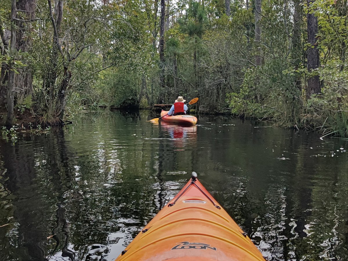 Coastal Kayak Touring Company (Duck) All You Need to Know BEFORE You Go