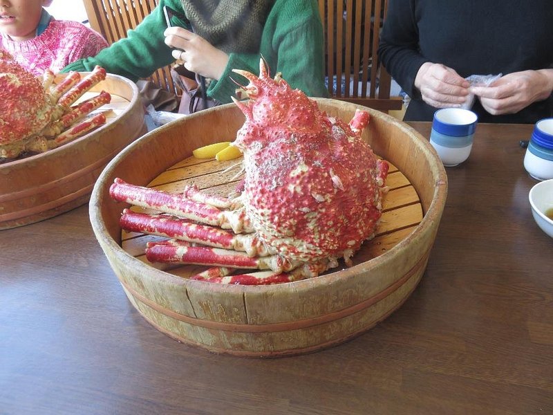 Steamed Japanese spider crab, the largest crab in the world