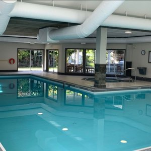 Indoor pool, hot tub, outdoor hot tub and kiddie pool open year round 