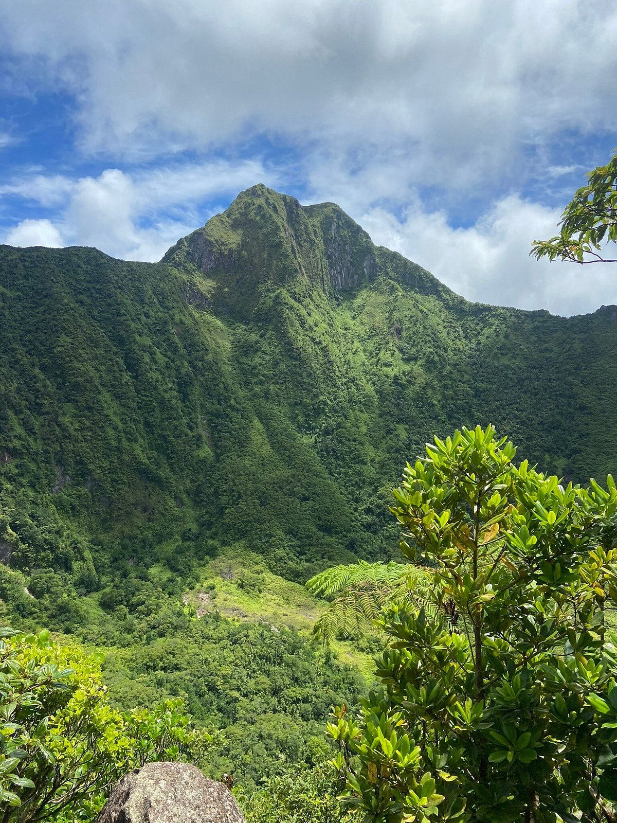 st kitts volcano hike excursion