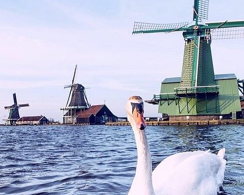 best private tours amsterdam