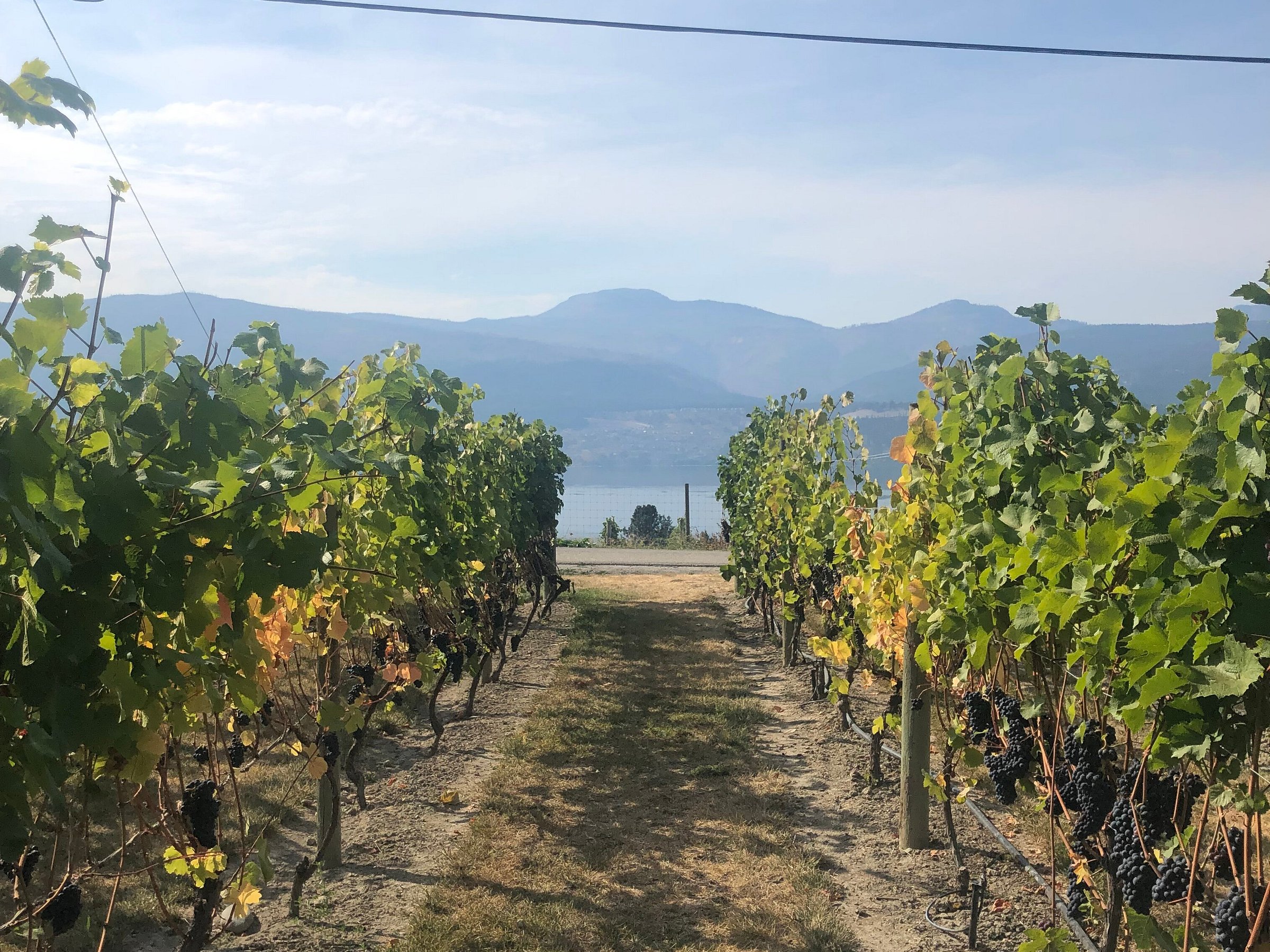 okanagan private wine tours