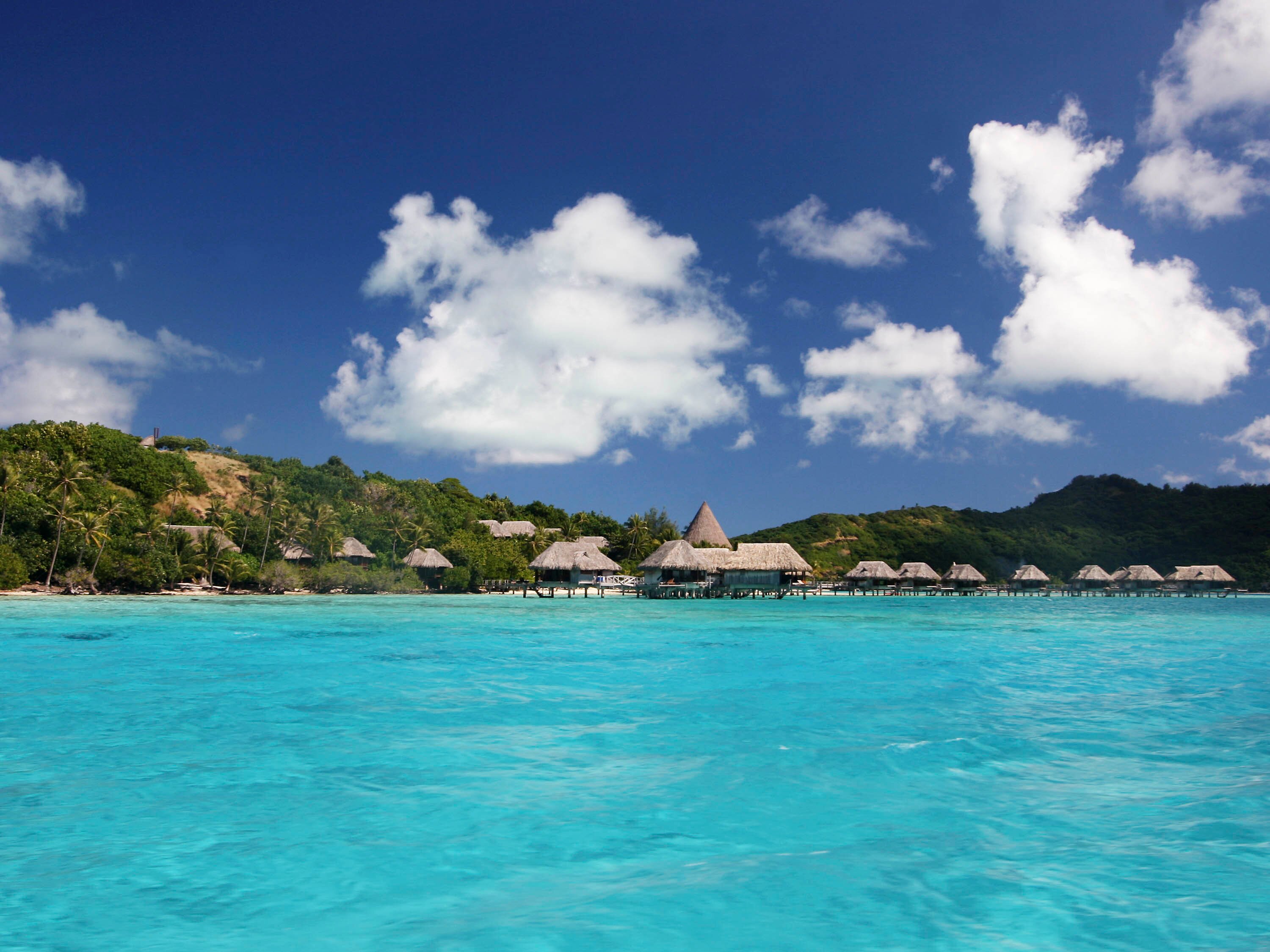 SOFITEL BORA BORA PRIVATE ISLAND - Boutique Hotel Reviews (French ...