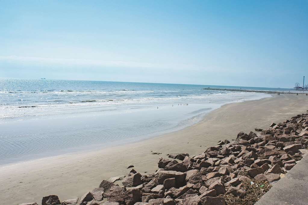 WINGATE BY WYNDHAM GALVESTON EAST BEACH - UPDATED 2022 Reviews