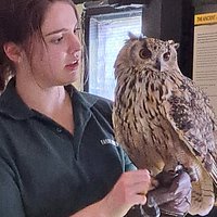 YARAK BIRD OF PREY (Cullompton) - All You Need to Know BEFORE You Go