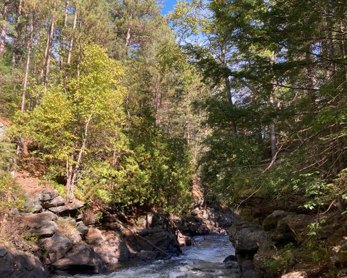 THE BEST Things to Do in Eau Claire - 2023 (with Photos) - Tripadvisor