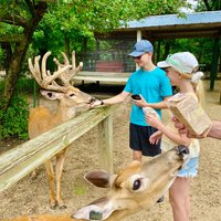 Wisconsin Deer Park (Wisconsin Dells): All You Need to Know