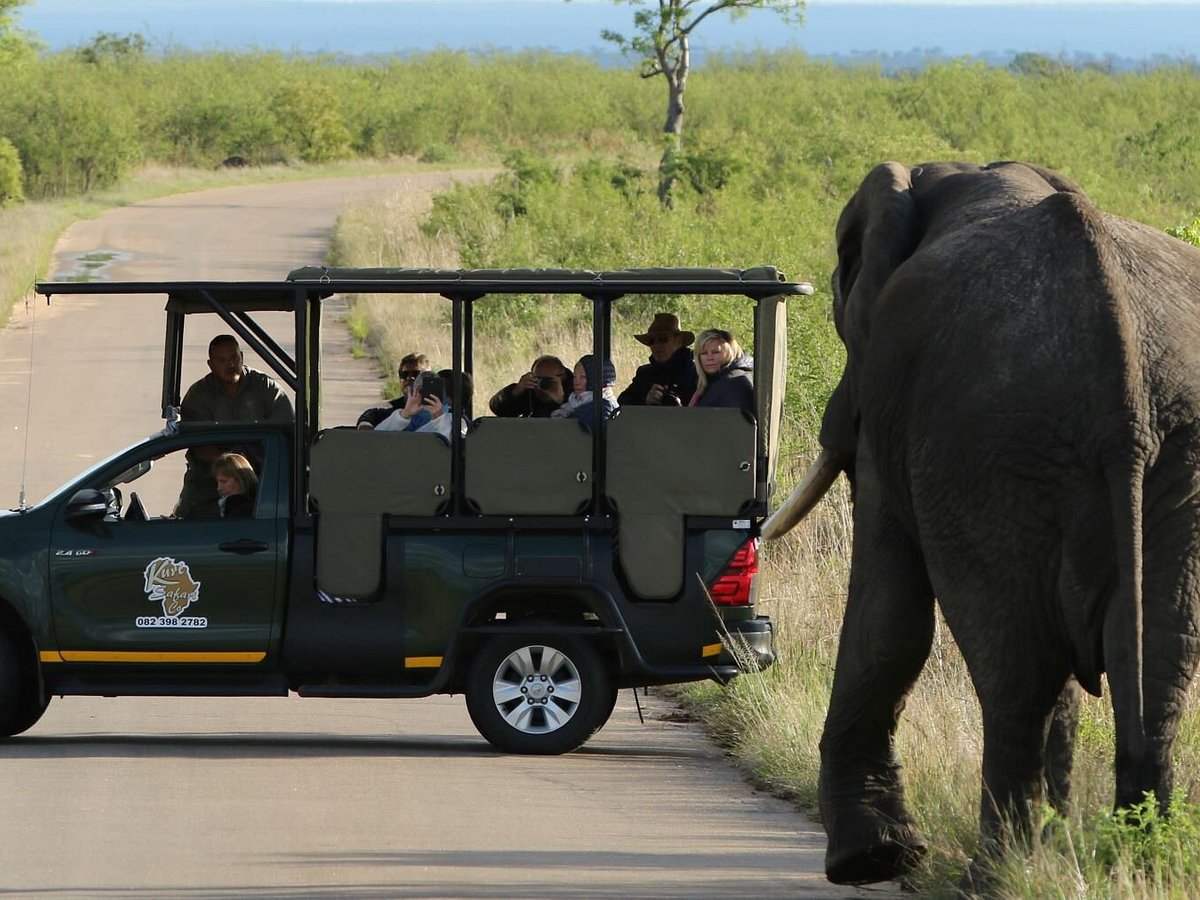 best safari kruger national park tripadvisor