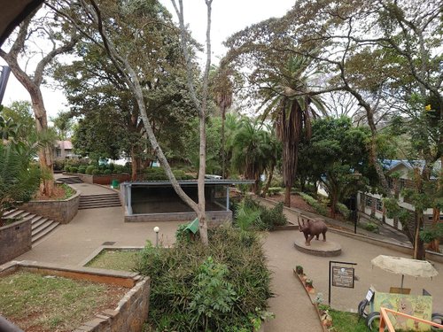 Nairobi Tom review images