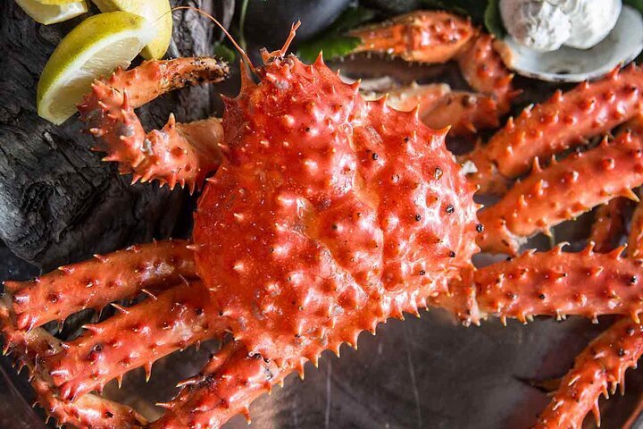 2024 (ushuaia) Premium King Crab Route In Tierra Del Fuego