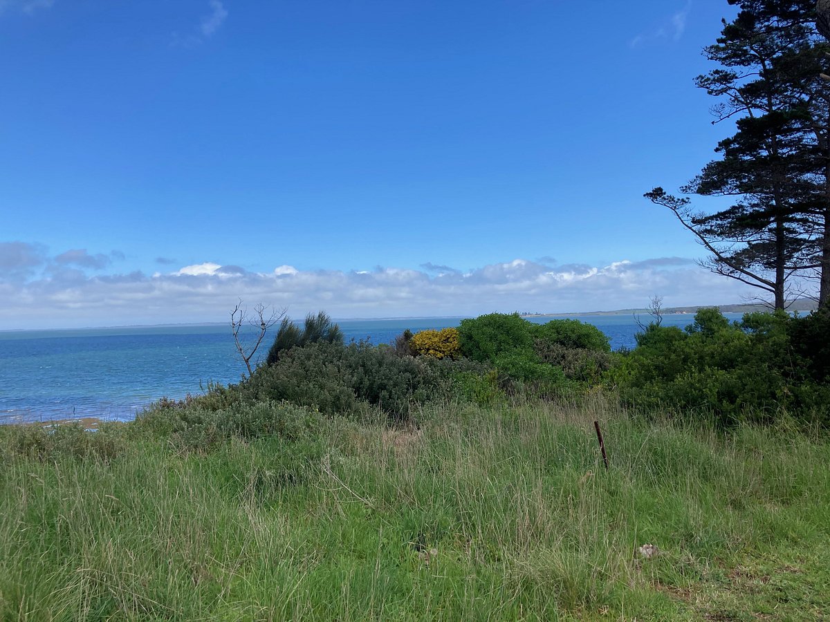 Corinella To Coronet Bay Coastal Walk All You Need To Know dgc-no-1266-anna-nakagawa-page-9-of-10-nh-girl-xinh-photo
