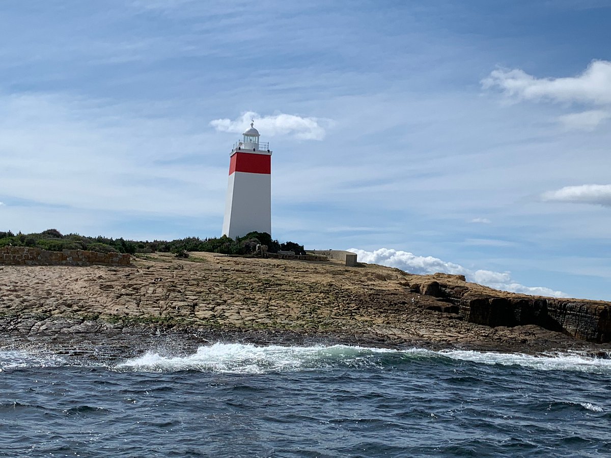 pennicott cruises hobart